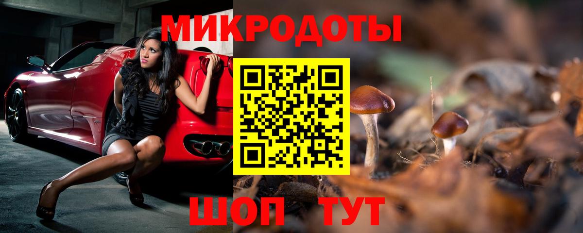 Ефремов  Галлюциногенные грибы мухоморы  Вход с VPN 